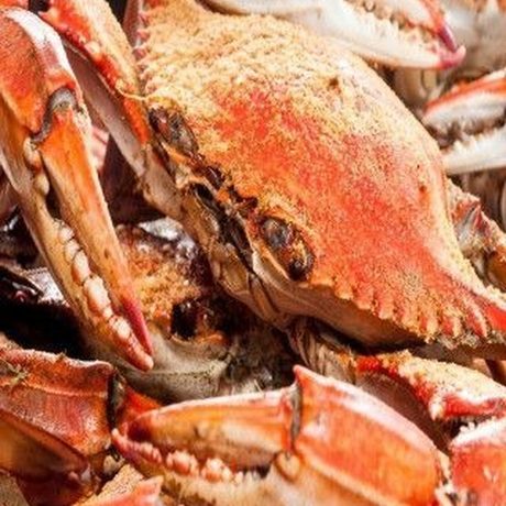 I Love Crabs Heavyweight crabs