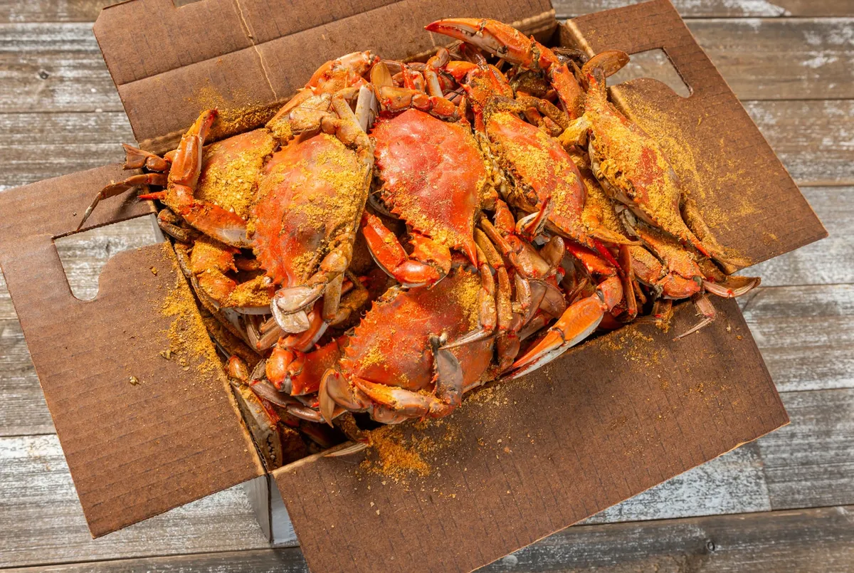 Steamed Maryland blue crab feast spread on the table